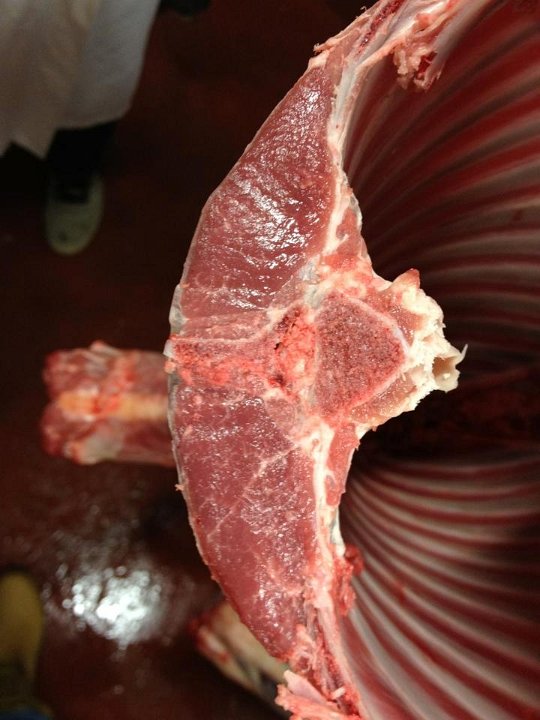 970359 390041977780745 1016884583 n