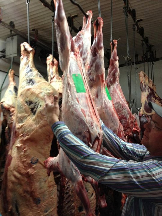 970393 390041934447416 288978612 n