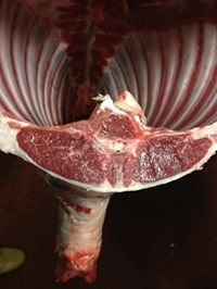 984 390041951114081 525750034 n